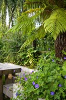 Dining area with Geranium and tree fern by Earth Designs
