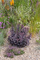 Hylotelephium telephium, Thymus serpyllum with other drought resistant plants in gravel garden. Beth Chatto: The Drought Resistant Garden, Hampton Court Flower Festival, 2019. 