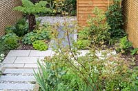 Small modern garden in London, with Dicksonia antarctica and wooden shed. By Earth Designs. 
