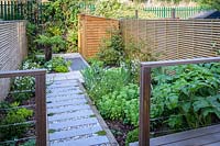 View of small, modern garden in London with Dicksonia antarctica and wooden shed, by Earth Designs. 