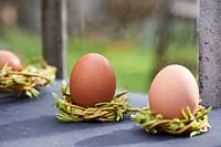 Still life of eggs set in a natural woven nests on a windowsill. 