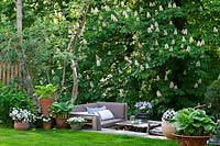 Outdoor lounge area in a garden under a chestnut tree surrounded by pot plants. 
