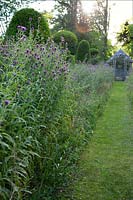 Path has been mown in the topiary meadow, bordered with clumps of Centaurea nigra.