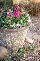 Large Container with flowering Hyacinth 'Pink Pearl' and Viola 'White' Bedding in Spring.