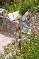 View through wildlife garden towards drystone wall seating area with cushions. Springwatch Garden, Hampton Court Flower Show, 2019.