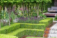 View of rill and cobble steps and path in formal garden, leading to seating area surrounded by stepped Buxus hedges, a flowerbed of Lysimachia atropurpurea 'Beaujolais' and Carpinus pleached. The Husqvarna Garden. RHS Chelsea Flower Show, 2016. Designer: Charlie Albone. Sponsor: Husqvarna.