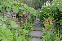 Flagstone path through Bog Garden. Bog plants include Primula japonica - Candelabra Primula, Iris, grasses, Zantedeschia - White Arum lily and Scirpus - Bulrush.
