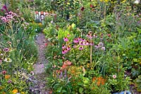 Overview of vegetable garden with gravel path through beds of beneficial perennials. 

