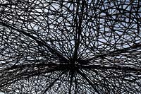 Looking up at a silhouetted willow structure forming the roof of the PMS: Outside Inside for NAPS Garden - RHS Hampton Court Palace Flower Show 2016