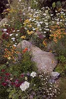 Rock with perennials including Coreopsis, Achillea, Scabiosa, Great Gardens of the USA: The Oregon Garden, RHS Hampton Court Palace Flower Show, 2018. 