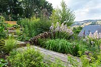 A naturalistically planted country garden with wooden deck path, mixed borders and wildlife friendly log pile.