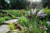 Wooden steps in between naturalistic borders planted with perennials and ornamental grasses including foxgloves, mallow and Campanula lactiflora.