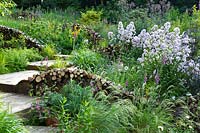 Wooden steps with insect and wildlife friendly log walls set within naturalistic borders planted with perennials and ornamental grasses.