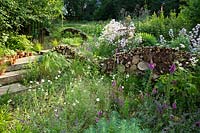 An insect and wildlife friendly log wall within naturalistic borders planted with African daisies, foxgloves, Allium and Campanula lactiflora.