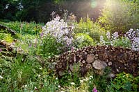 An insect and wildlife friendly log wall within naturalistic borders planted with foxgloves, elder and Campanula lactiflora.