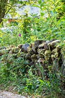 A weathered moss-covered stone wall.