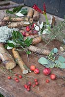 Materials for creating a rustic arrangement with Birch sticks, berries, Eucalyptus and Pine foliage and cones 