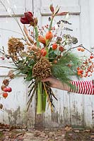 Woman holding floral arrangement with Hippeastrum, Hydrangea, Physalis, Rosehips, Seedheads and pine foliage. Styling: Marieke Nolsen
