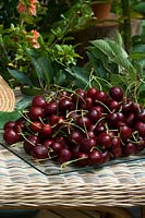 Glass dish of harvested cherries 