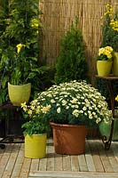 Spring display with potted plants. 
