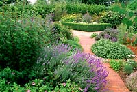 Summer border with salvias, lavenders and flowering currants. 

