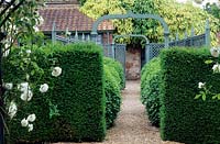 View through Taxus baccata - Yew - hedge along path and under arch and trellis screen