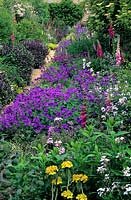Mixed flowerbed with foxgloves,  Hesperis matronalis and geraniums. 
