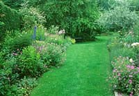 A wide grass path with a border on either side with perennials such as Geranium and a Pyrus salicifolia - Weeping Silver Pear - beyond