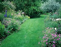 Grass pathway with double borders including geraniums and delphiniums. 
