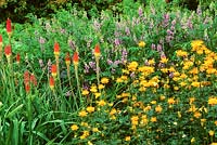 Mixed flowerbed with Kniphofia uvaria and Trollius spp.