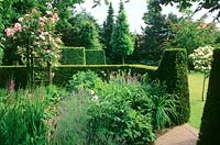 Mixed summer border enclosed with a shaped hedge 