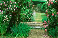 Water fountain in pond in formal garden with flowering roses. 
