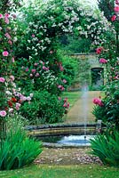 Water fountain in pond in formal garden with flowering roses.