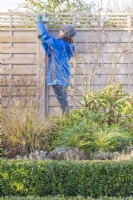 Woman using to a screwdriver to take down a bird box in Winter for cleaning and restoration