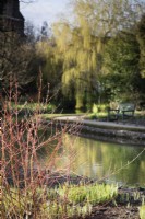Bright stems of cornus frame the large pond in the Bishop's Palace garden, Wells in March