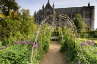 Tunnel of hazel with clematis scrambling up it, framed by alliums and Centaurea montana in the kitchen garden at Arundel Castle, West Sussex in May, with Arundel Cathedral as backdrop