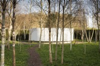 The Garden of Reflection at the Bishop's Palace, Wells in March featuring a poustinia in a grove of birch trees.