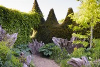Path through the Stumpery at Arundel Castle Gardens, West Sussex in May, bounded on one side by a spikey yew hedge. Stumps are surrounded by lush planting including euphorbias and hostas. Liquidambars provide height.