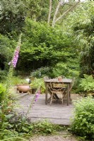 Simple dining deck surrounded by trees and soft planting including bamboo, foxgloves, ferns, Erigeron karvinskianus and lemon balm, Melissa officinalis in a cottage garden in June