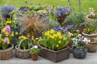 A spring container display of baskets, copper kettles and terracotta pots planted with annual violas, bellis daisies, pink Hyacinth 'Fondant, sedge and golden Narcissus 'Tete-a-Tete'.