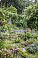 Sloping garden where railway sleepers have been used to make mini terraces, with a profusion of planting including self seeded Erigeron karvinskianus, rock roses, ferns and foxgloves with tall bamboos, hollies and woodland behind a cottage garden in June