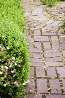 Path of reclaimed brick in a cottage garden in June