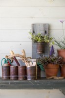Tin can caddy on a wooden shelf next to three potted plants with a white background