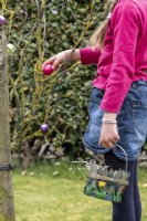 Child collecting a pink chocolate egg from a tree at Easter