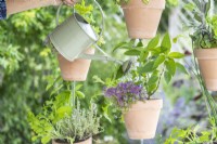 Watering plants in hanging pots