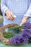 Overlapping lavender bunches and wrapping wire around them to attach them to the wreath