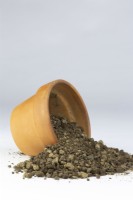 A sample of loamy clay soil in a terracotta pot