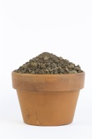 A sample of loamy clay soil in a terracotta pot