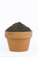 A sample of loam soil in a terracotta pot
