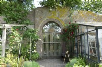 Big old wooden gate in old walled garden with greenhouse and Rosa - Climbing Rose,